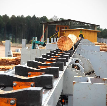 Classificador de Toras 