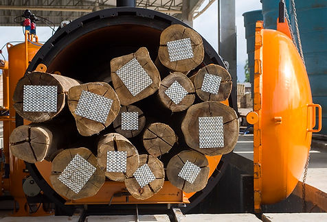 Maggioni  RS - 09.jpg